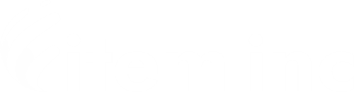 item, inc. logo